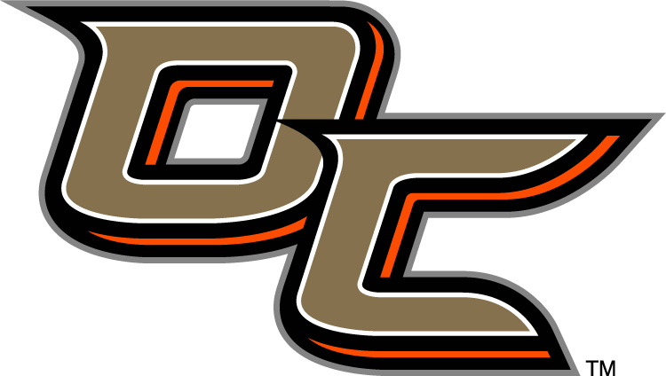Anaheim Ducks 2014 Special Event Logo iron on transfers for clothing